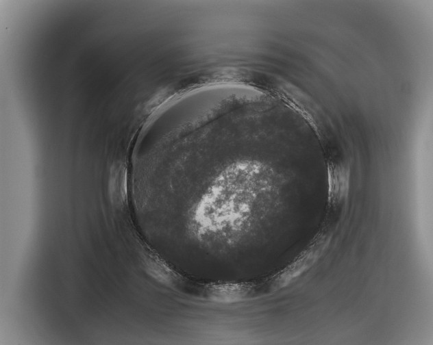 X0000116440301200912081602