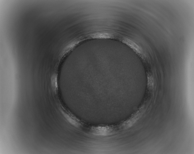 X0000116440302200912081602