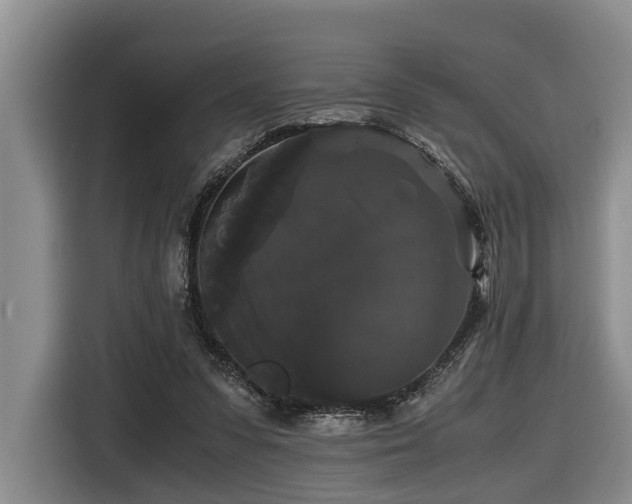 X0000116440303200912081602