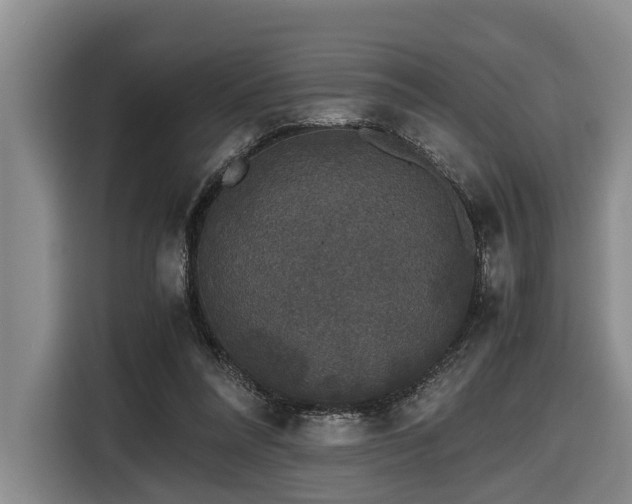 X0000116440304200912081602