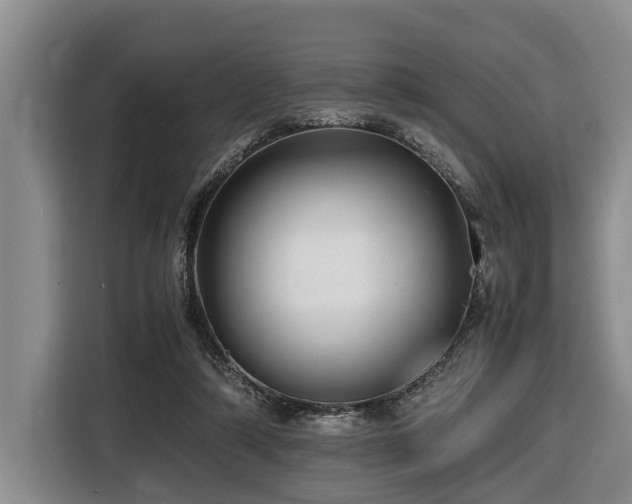X0000116440306200912081602