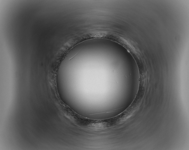 X0000116440307200912081602