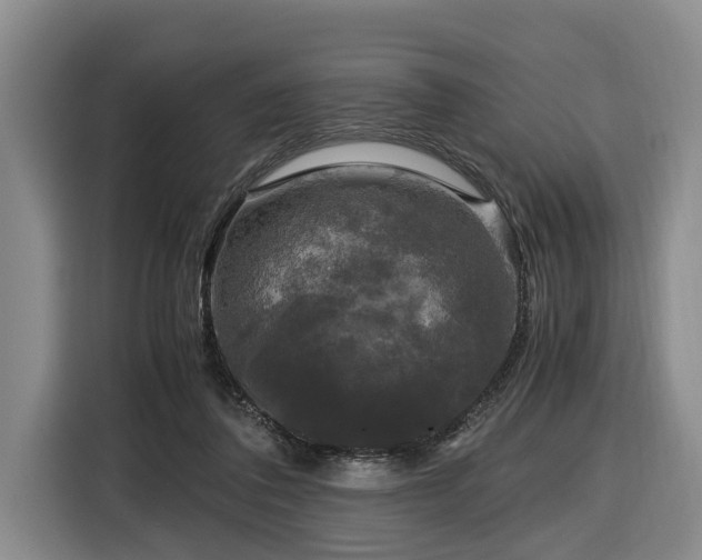 X0000116440308200912081602
