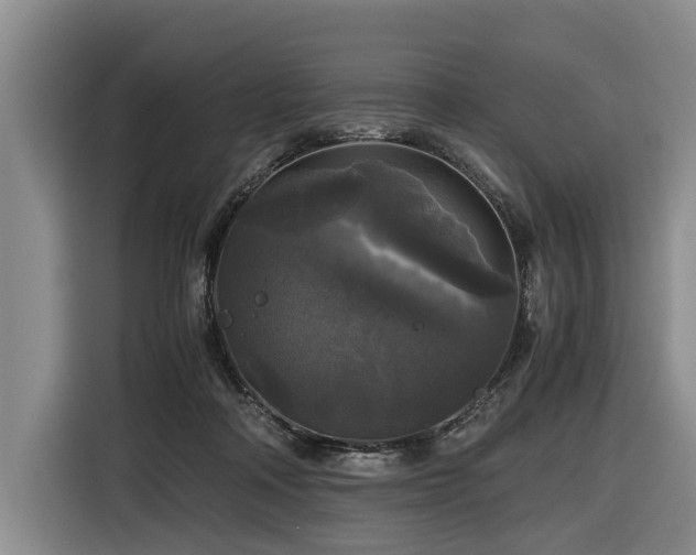 X0000116440314200912081602