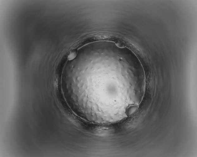 X0000116440315200912081602