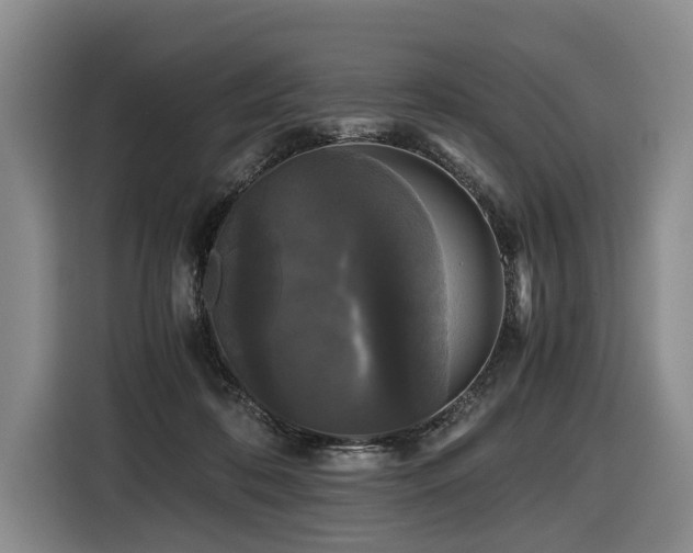 X0000116440316200912081602