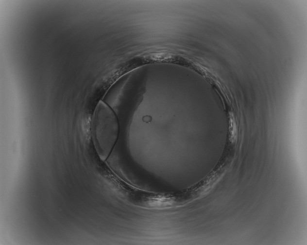 X0000116440319200912081602