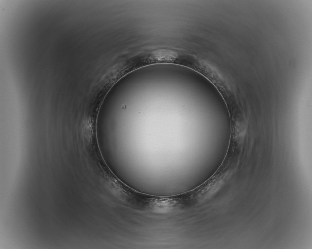 X0000116440321200912081602