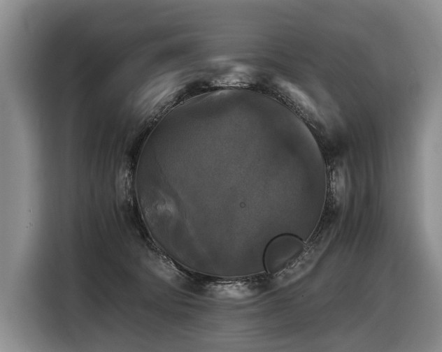 X0000116440322200912081602