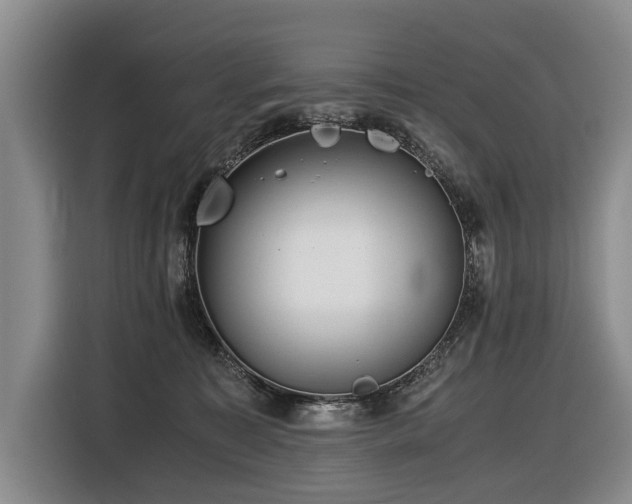 X0000116440323200912081602