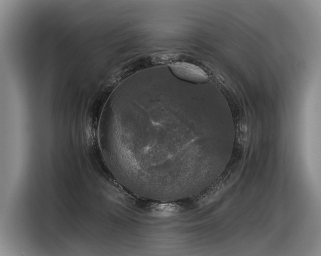 X0000116440324200912081602