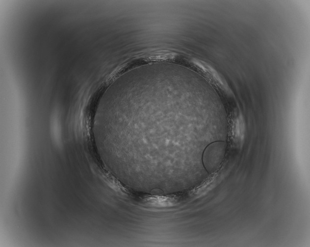 X0000116440326200912081602