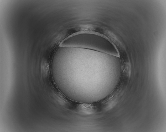 X0000116440327200912081602