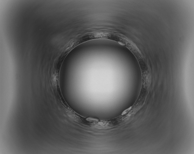 X0000116440329200912081602