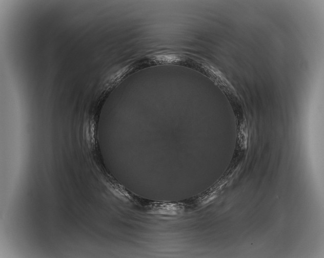 X0000116440330200912081602