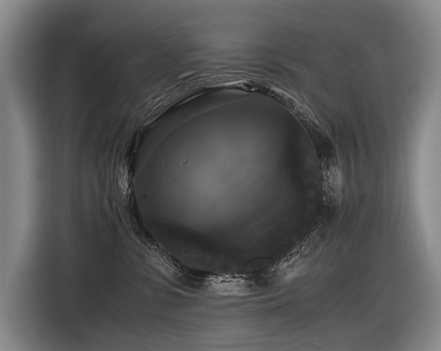X0000116440331200912081602