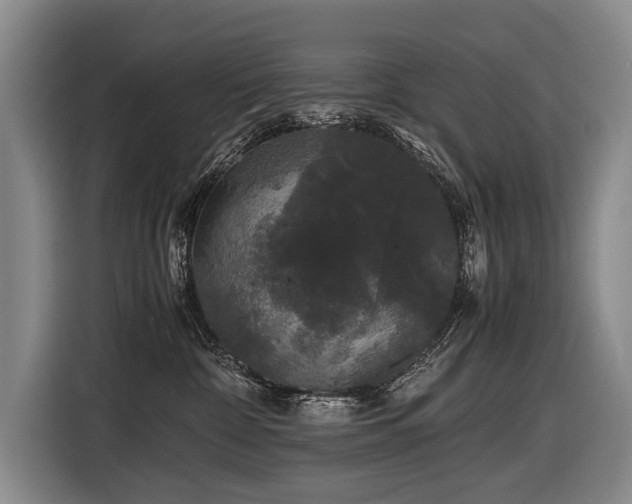 X0000116440332200912081602