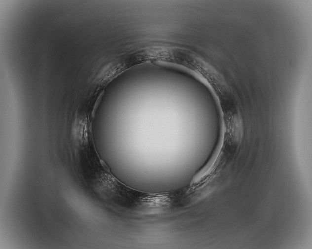 X0000116440333200912081602