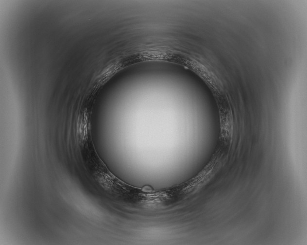 X0000116440334200912081601