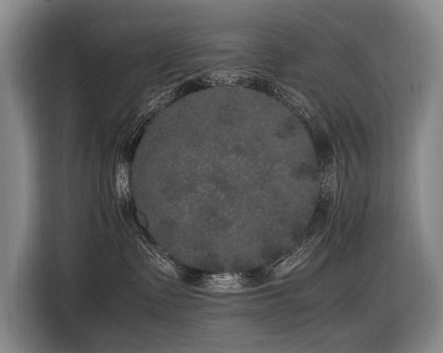 X0000116440335200912081601