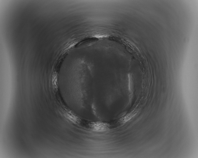 X0000116440336200912081601