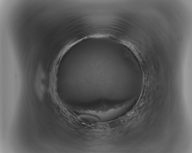 X0000116440337200912081601