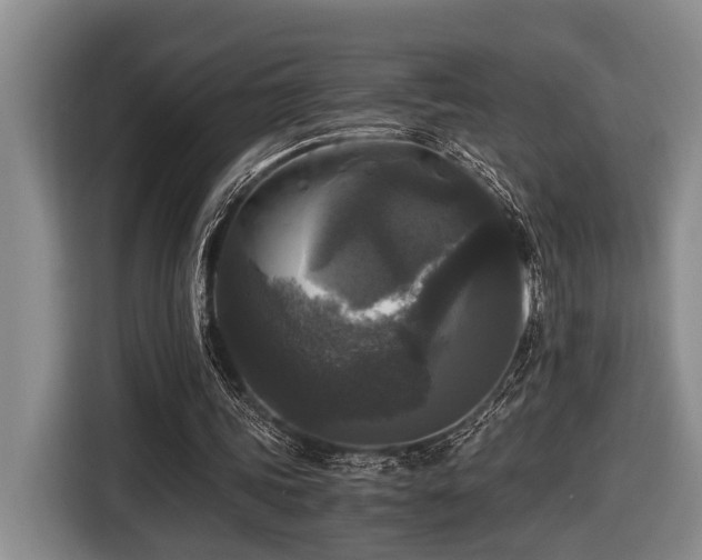 X0000116440339200912081601