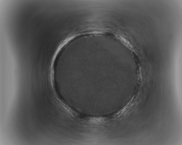 X0000116440342200912081601