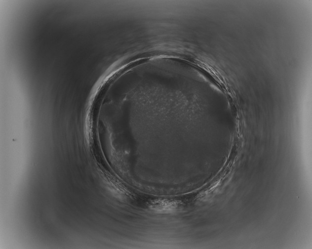 X0000116440343200912081601