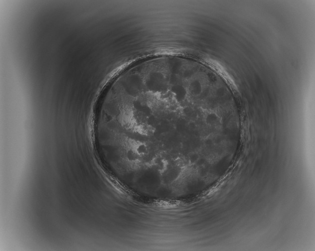 X0000116440346200912081601