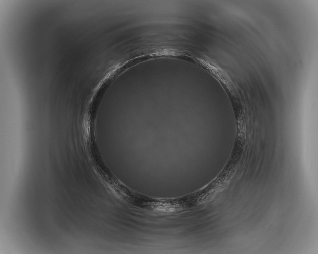 X0000116440347200912081601
