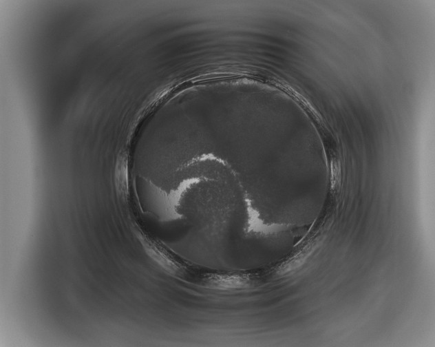 X0000116440349200912081601