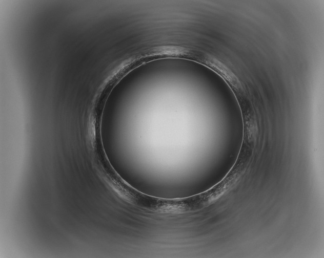 X0000116440350200912081601