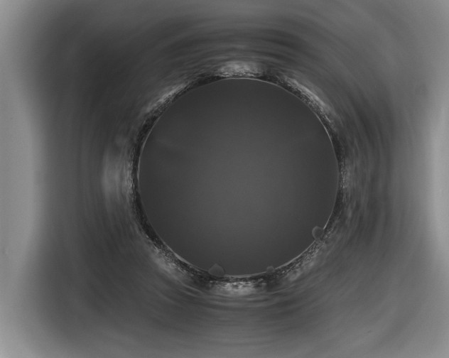 X0000116440353200912081601