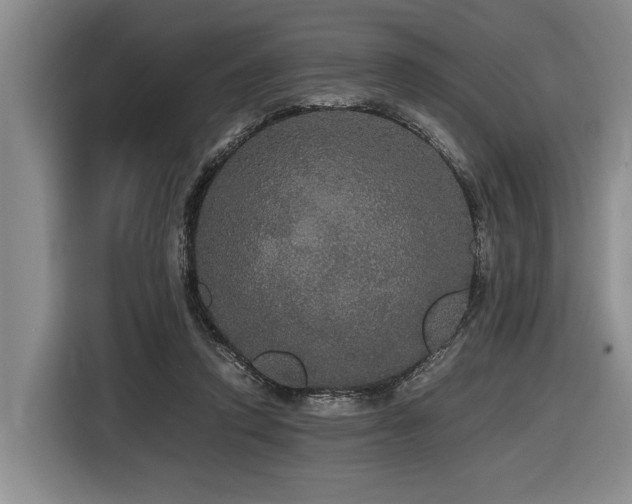 X0000116440354200912081601