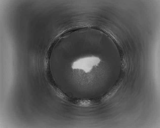 X0000116440355200912081601