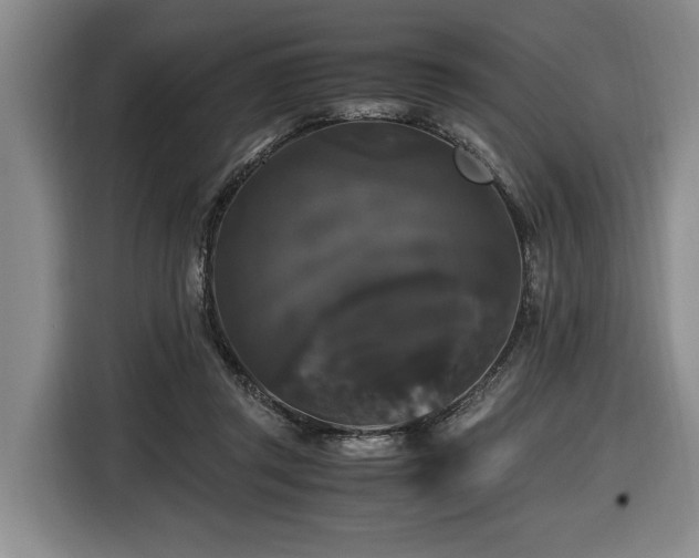 X0000116440357200912081601