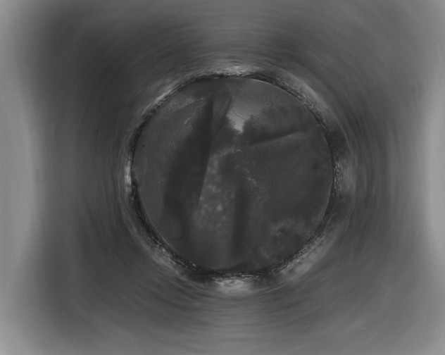 X0000116440358200912081601