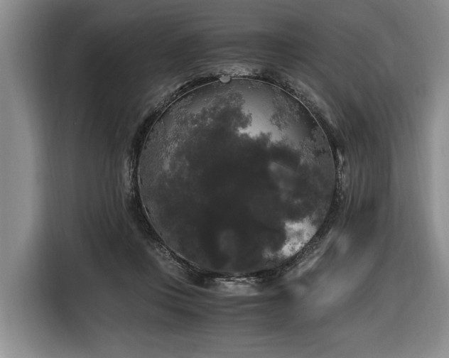 X0000116440359200912081601