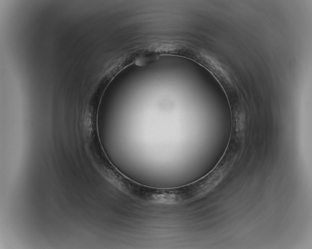 X0000116440362200912081601