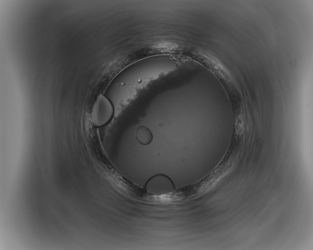 X0000116440365200912081601