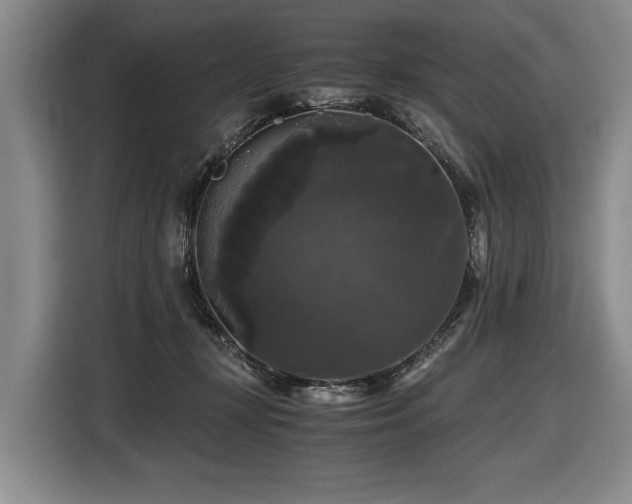 X0000116440367200912081601