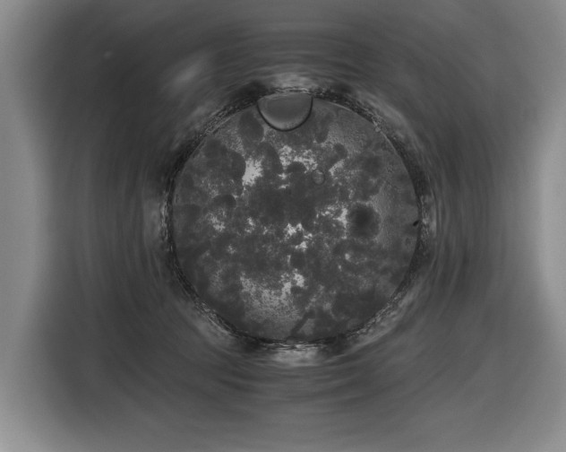 X0000116440369200912081601