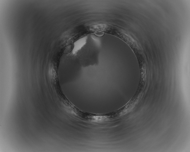 X0000116440371200912081601