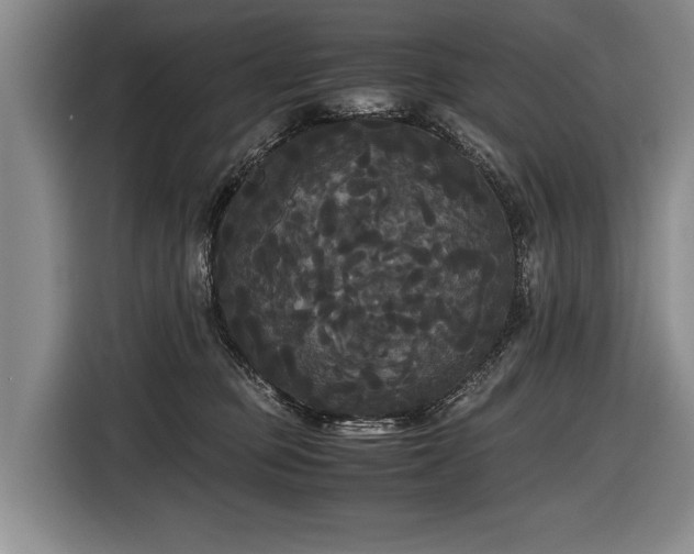 X0000116440373200912081601