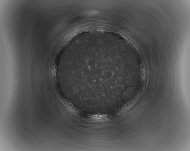 X0000116440375200912081601