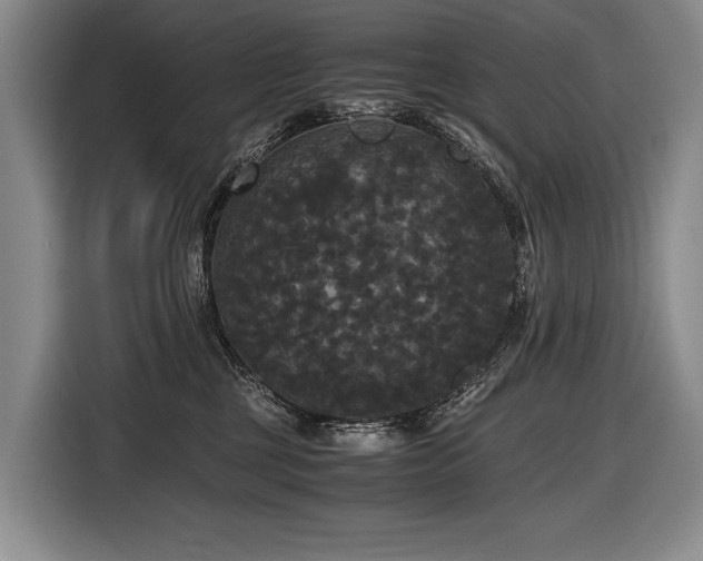 X0000116440377200912081601