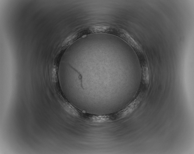 X0000116440378200912081601