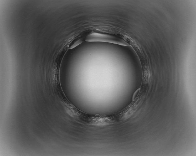 X0000116440379200912081601