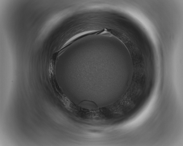 X0000116440382200912081601